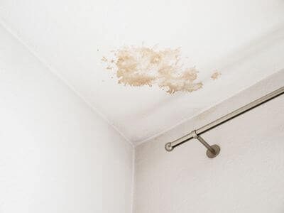 About Basement Mold Remediation North Bend - basement mold remediation experts in North Bend